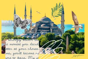 001 Desain Turkey
